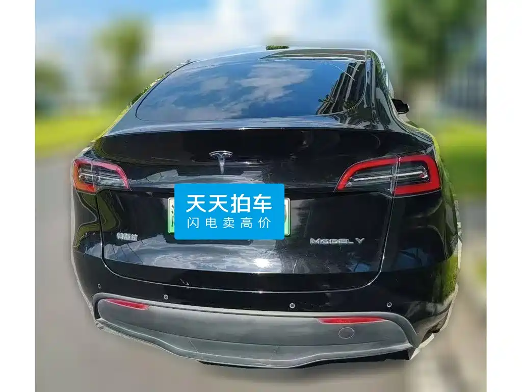 Фото 2 - Tesla Model Y