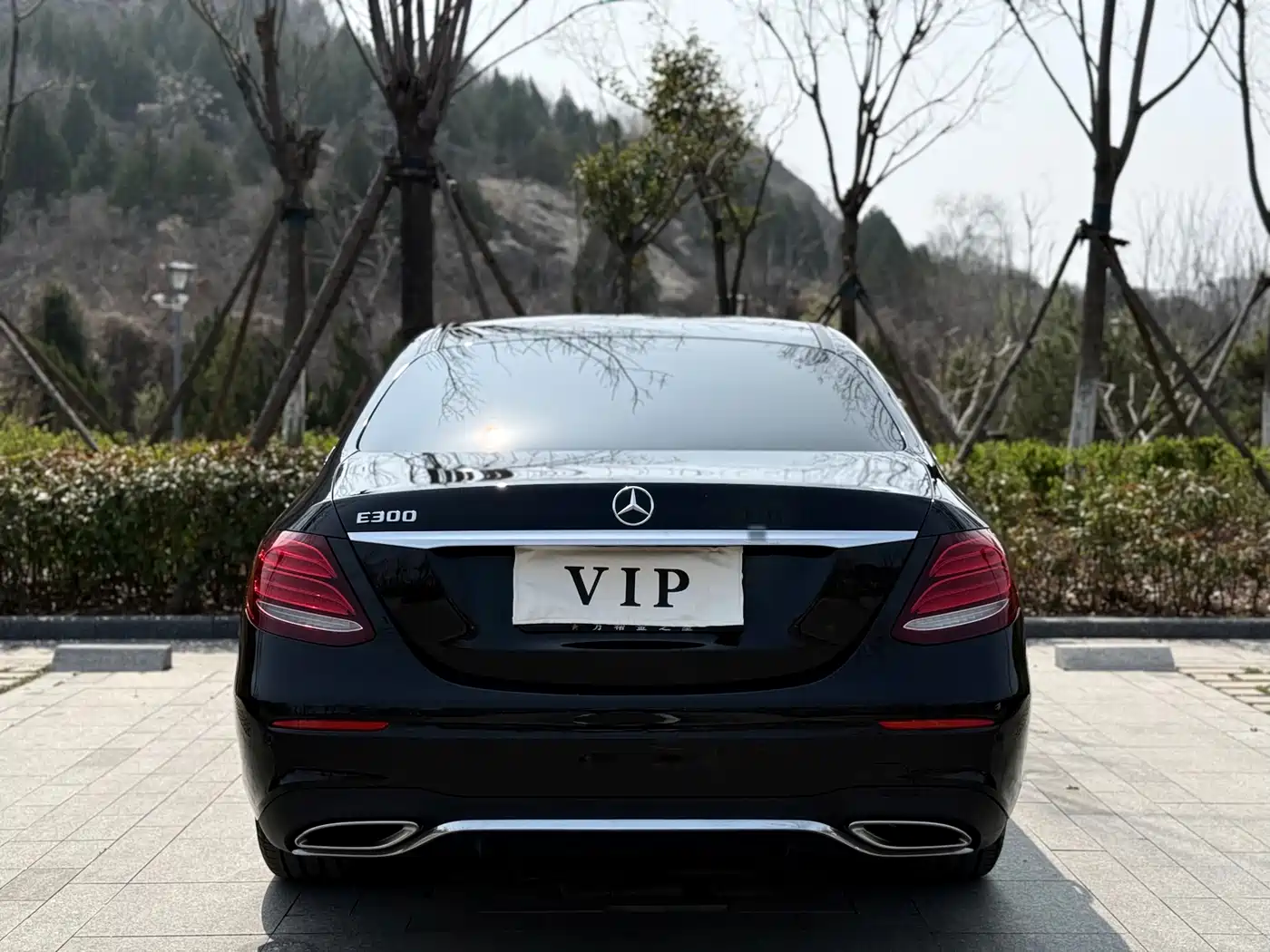 Mercedes-Benz E-Class 2017 E 300 L Sport Luxury фото 19