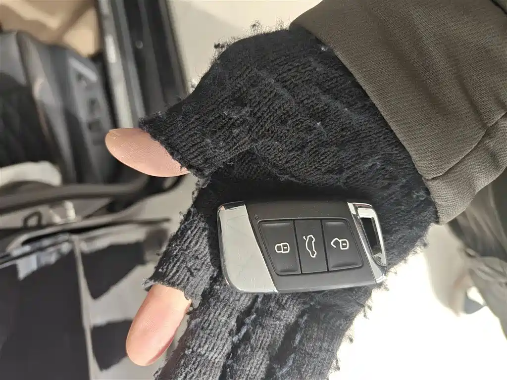 Volkswagen Passat 2019 330TSI Luxury Edition China VI фото 9