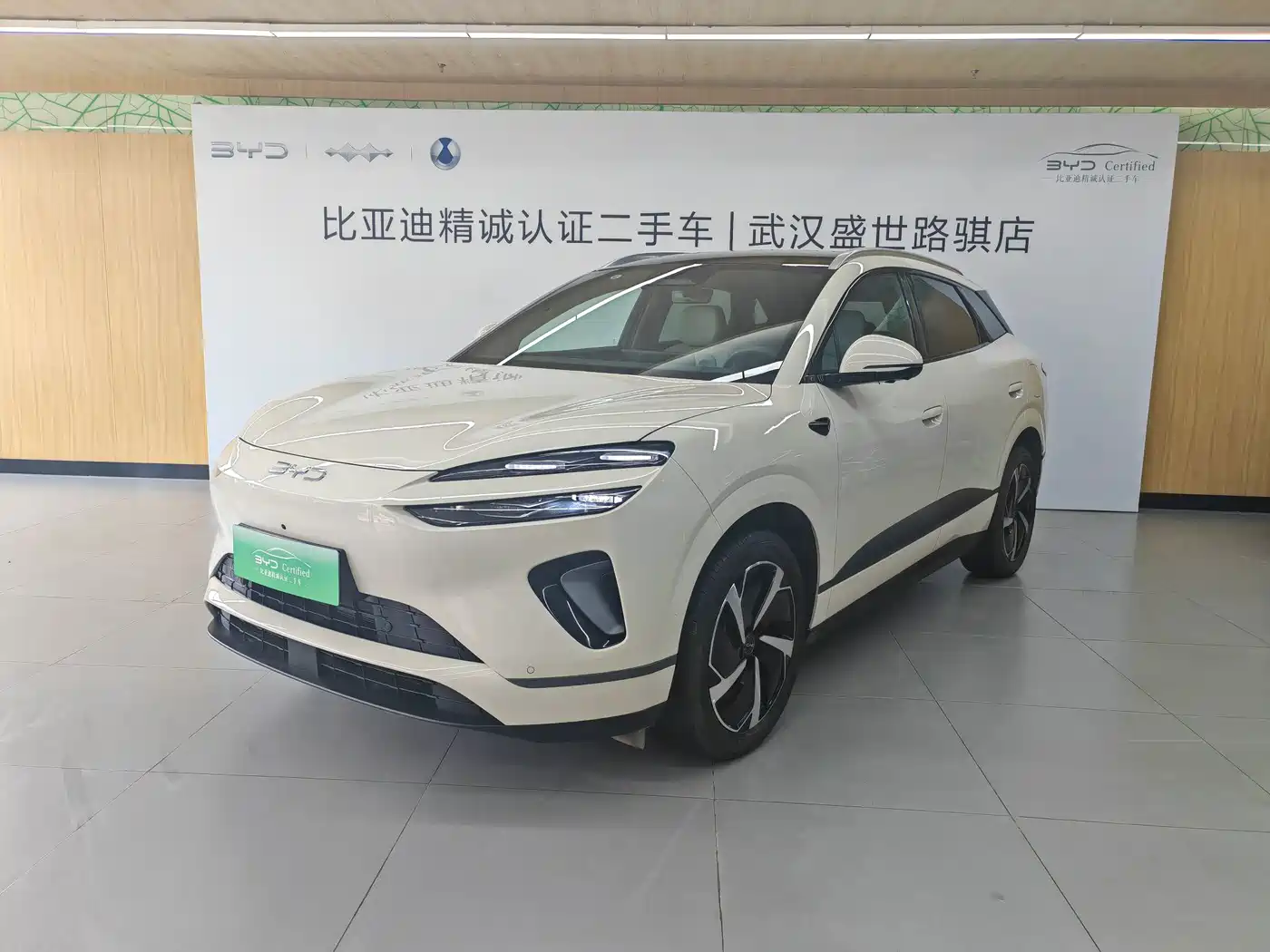 BYD Sealion 06 New Energy 2025 DM-i 170 Pilot Pro Edition