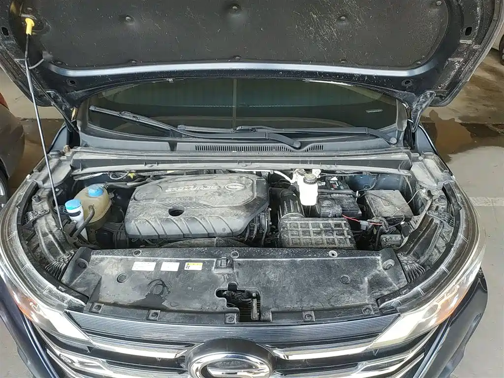 GAC Trumpchi Trumpchi M6 2019 270T DCT Prestige Edition (7-seater) (China VI) фото 20