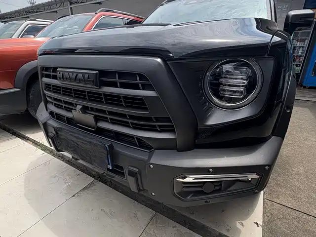 Haval Haval Big Dog 2024 2.0T DCT Chinese Rural Dog Edition
