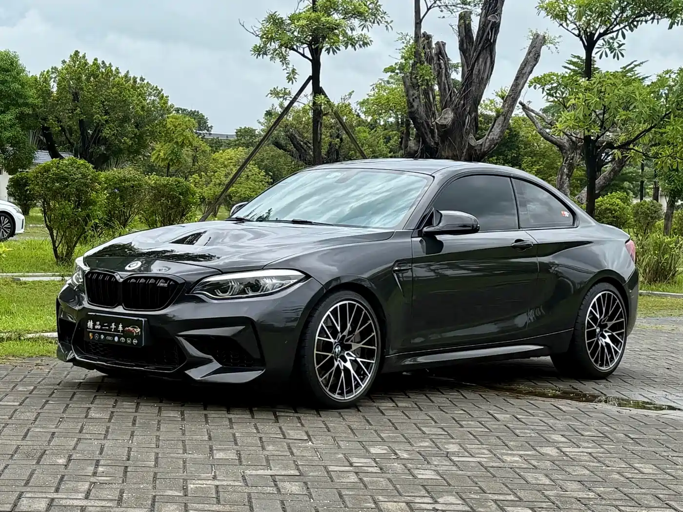 BMW M2 2018 M2 Thunder Edition