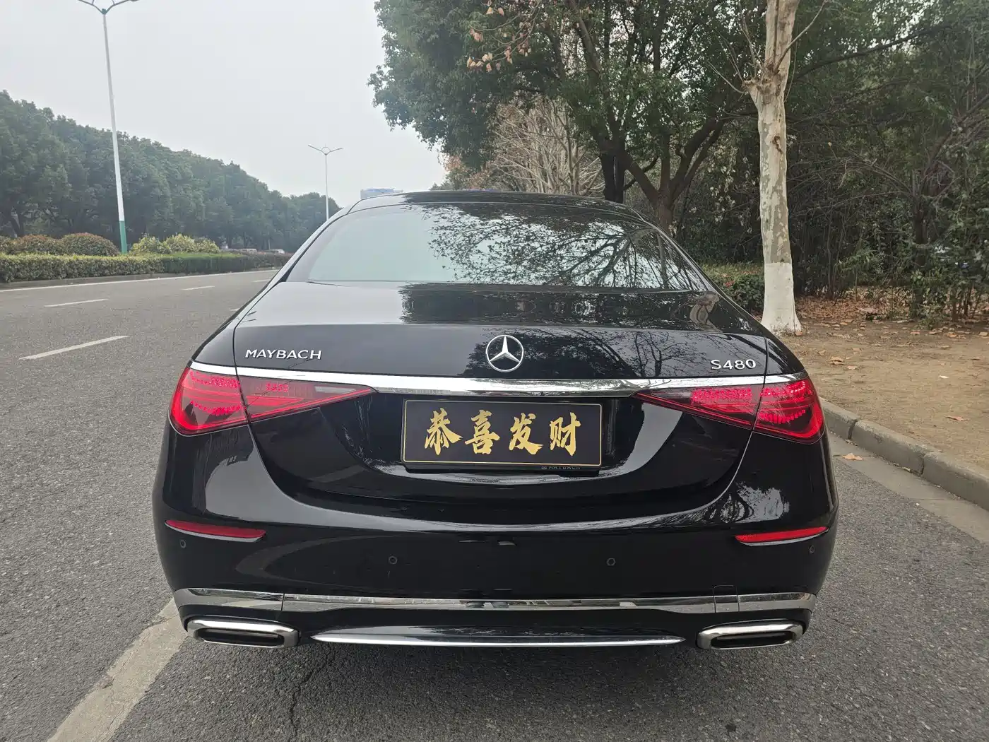 Mercedes-Benz Maybach S-Class 2021 S 480 4MATIC фото 4