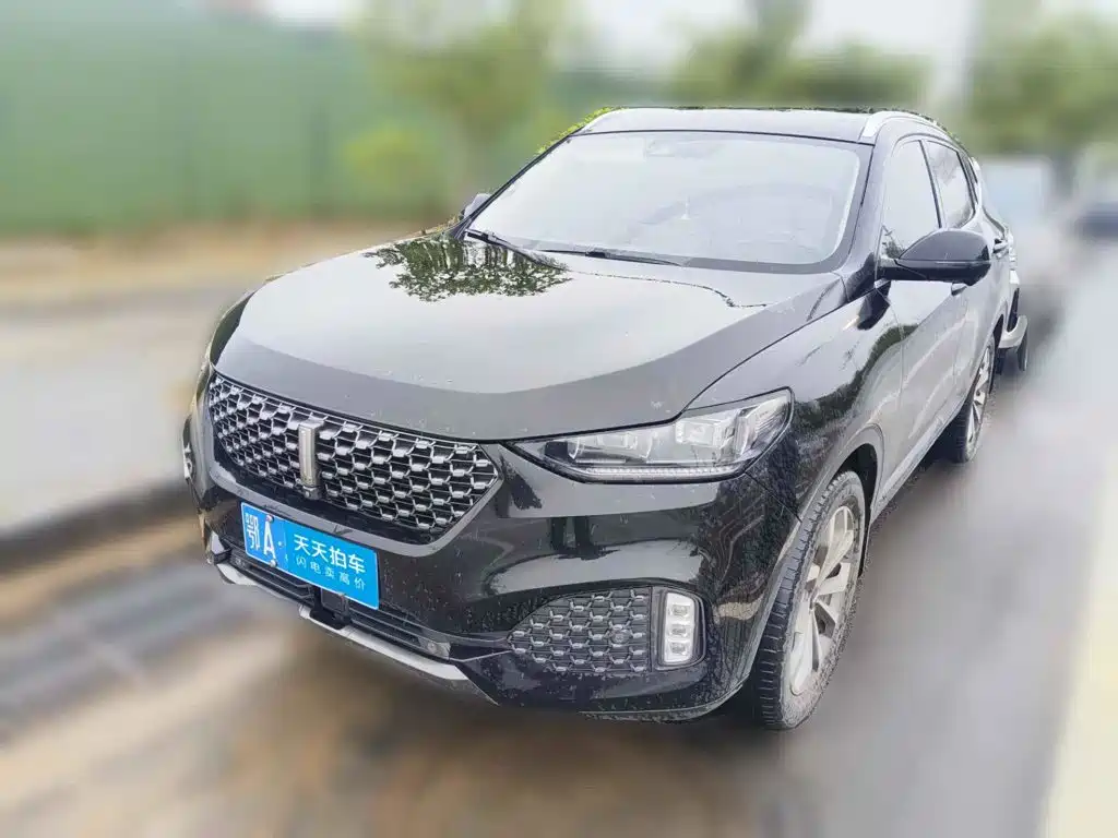 WEY VV6 2020 2.0T 2WD Smart Protection+