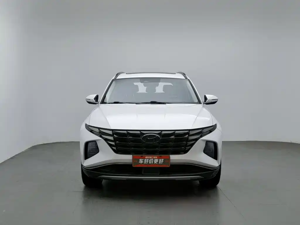 Hyundai Tucson 2024 2023 Tucson L 1.5T Automatic 2WD DLX Luxury Edition