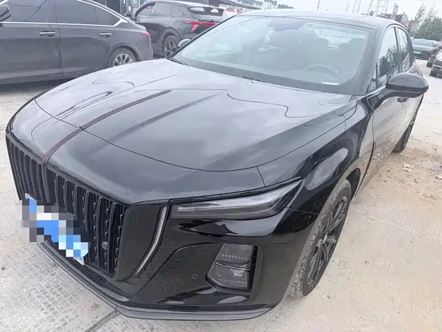 Hongqi H5 1.5T DCT, Тёмная тень
