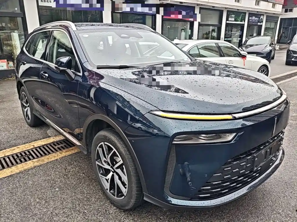 WEY Latte DHT-PHEV 2024 2022 1.5T 2WD Large Cup