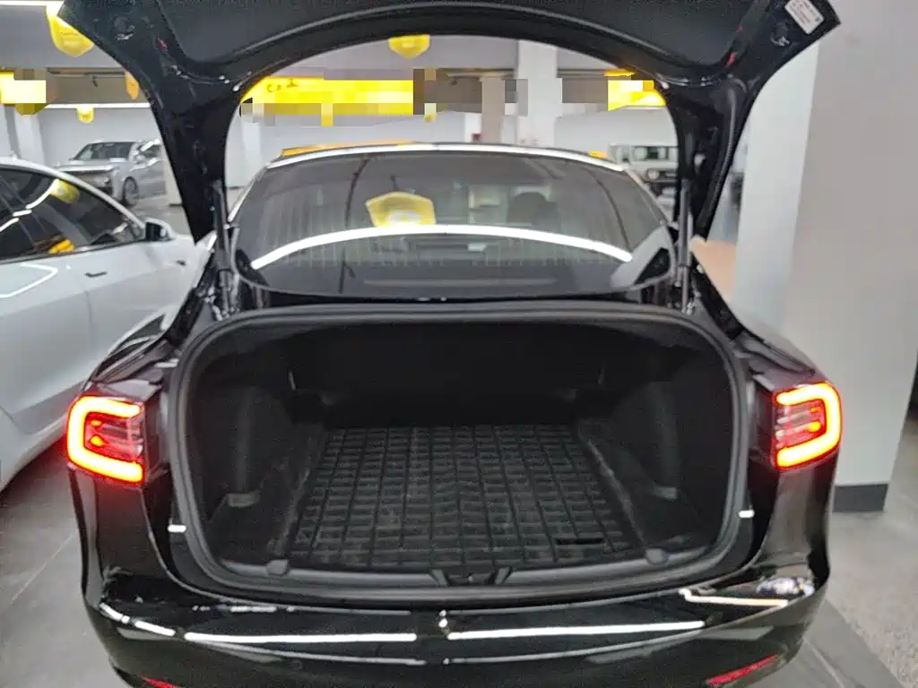 Tesla Model 3 (Import) 2020 2019 Long Range All-Wheel Drive Edition