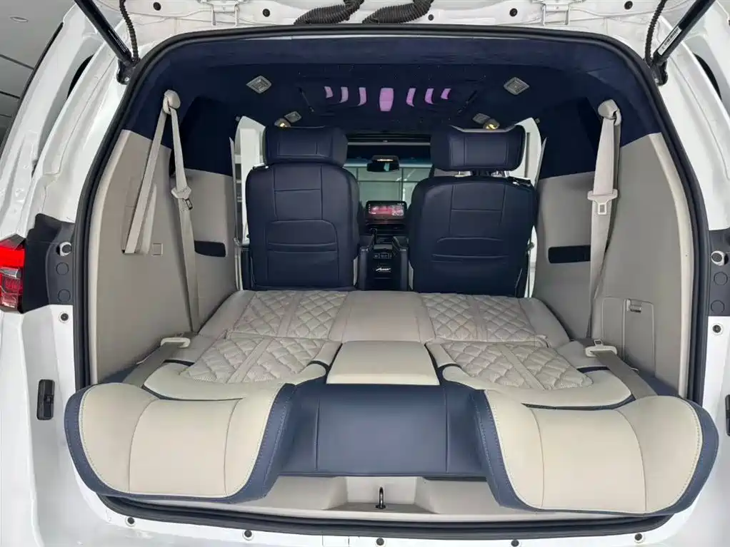 Buick GL8 2020 Model Land Business Class 652T Luxury фото 10