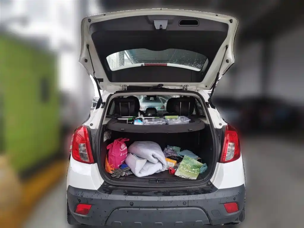 Buick Encore 2015 1.4T Automatic 2WD Urban Elite фото 10