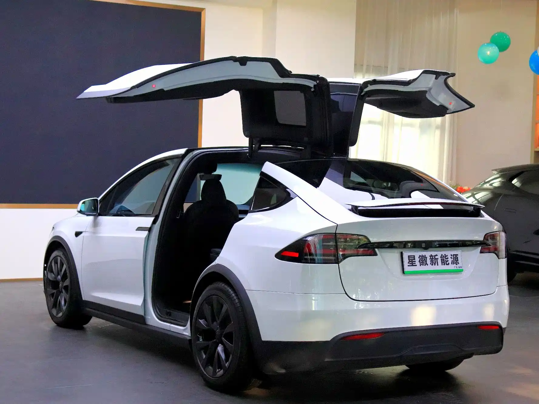 Фото 19 - Tesla Model X
