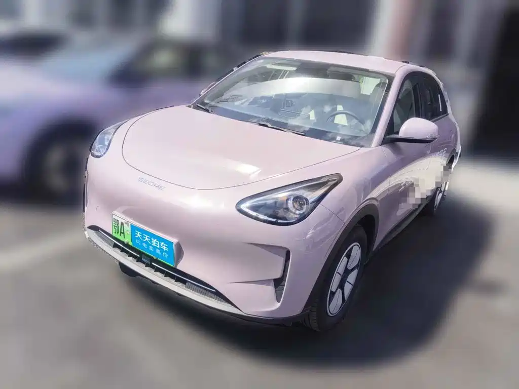 Geely Galaxy Starry Wish 2026 2026 Edition 310km Youth Version