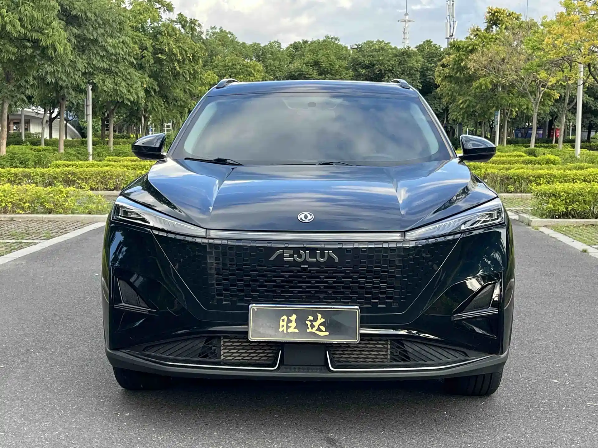 Фото 2 - Dongfeng Aeolus Haohan
