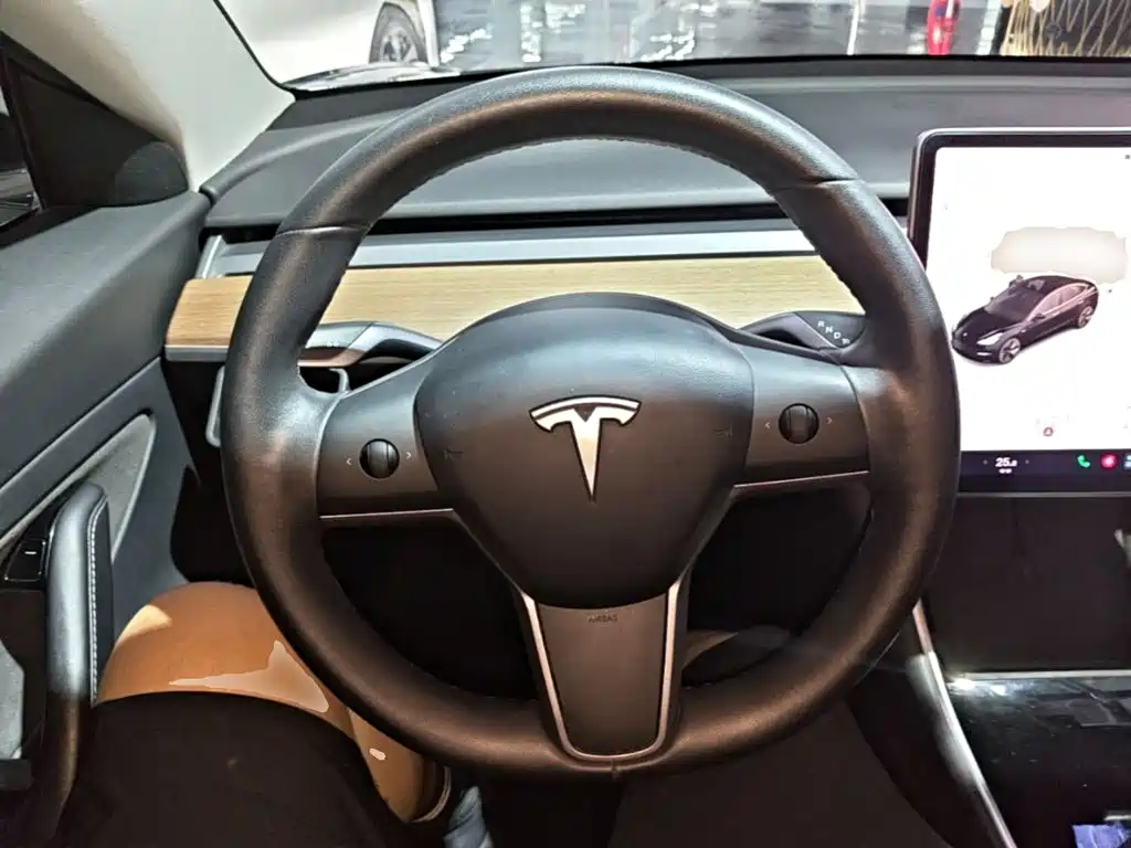 Tesla Model 3 2020 2019 Standard Range Rear-Wheel Drive Upgrade