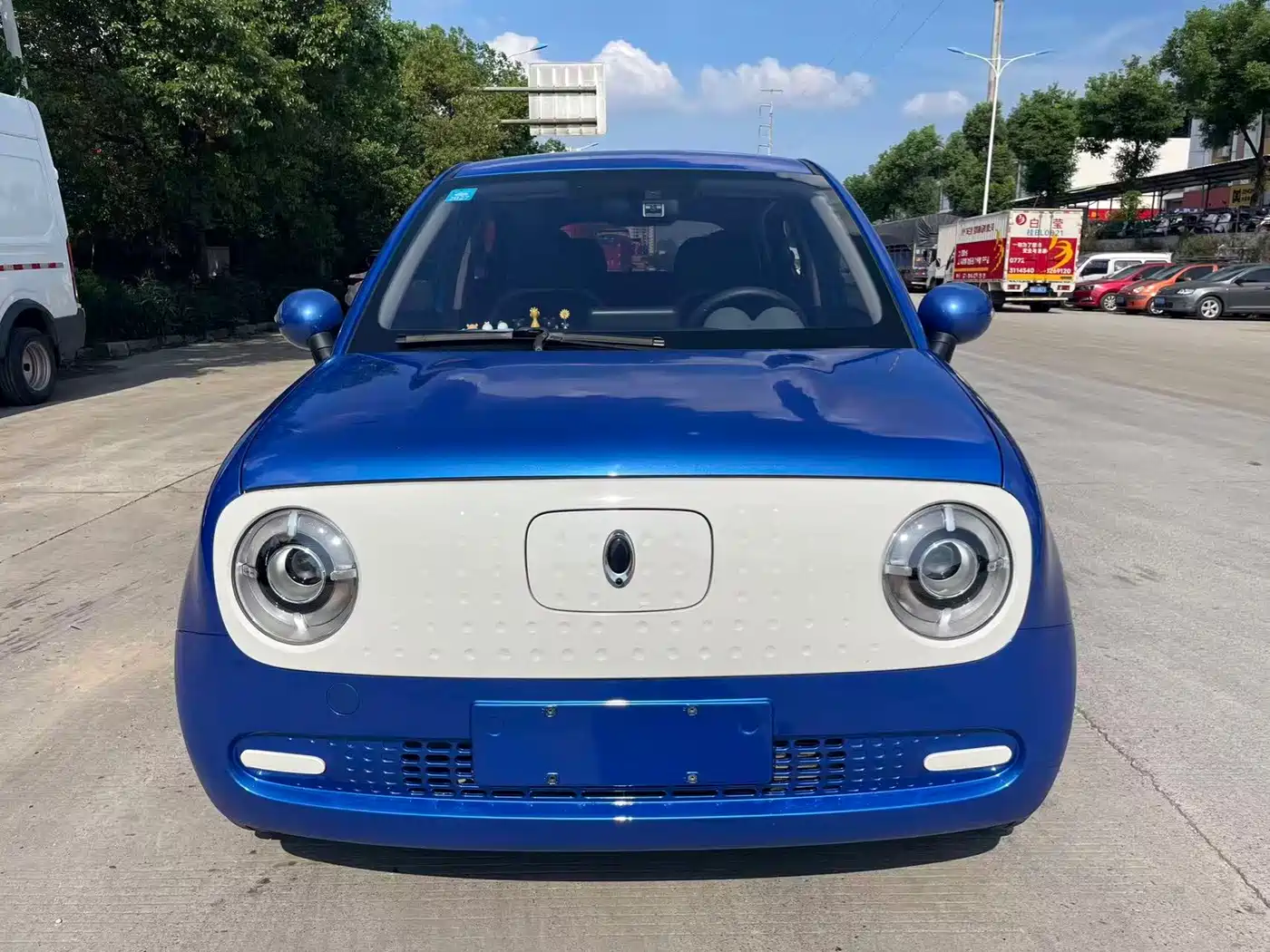 Ora Black Cat 2019 2019 310km Fun Edition
