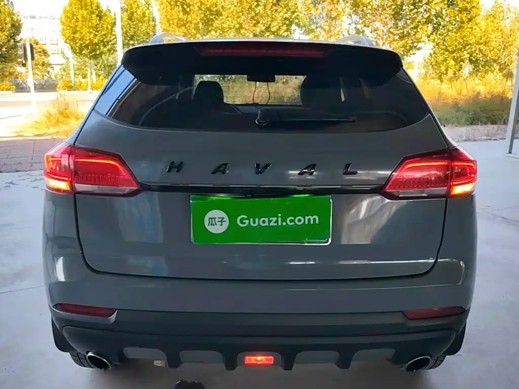 Фото 6 - Haval H2s