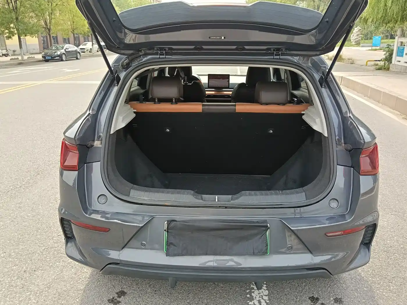 BYD e2 2020 2020 Upgraded Long Range Luxury