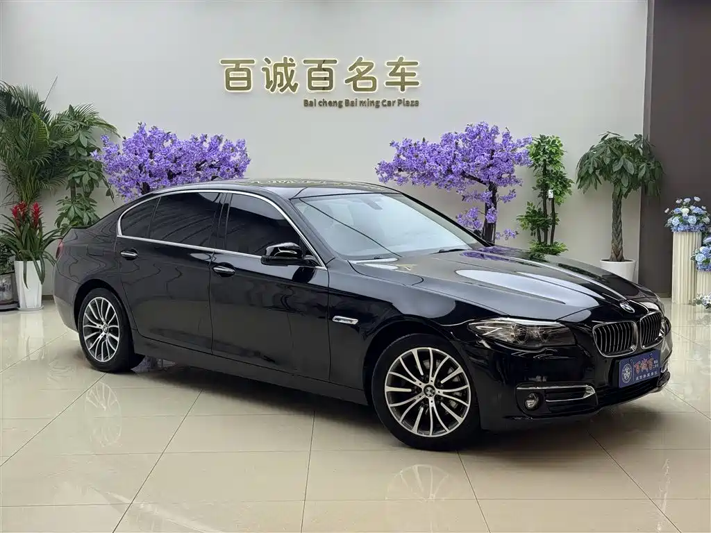 BMW 5 Series 2014 525Li Luxury Design Package фото 4