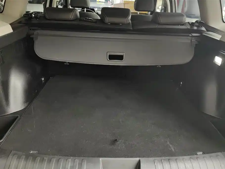 Haval Big Dog 2021 2.0T DCT 4WD Chinese Rural Dog Edition фото 4