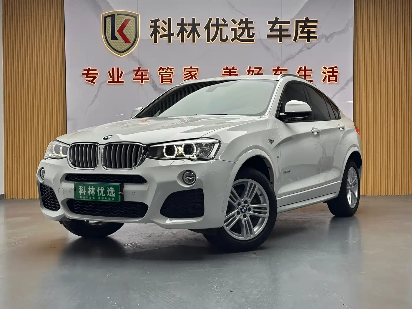 BMW X4 2014 xDrive28i M Sport