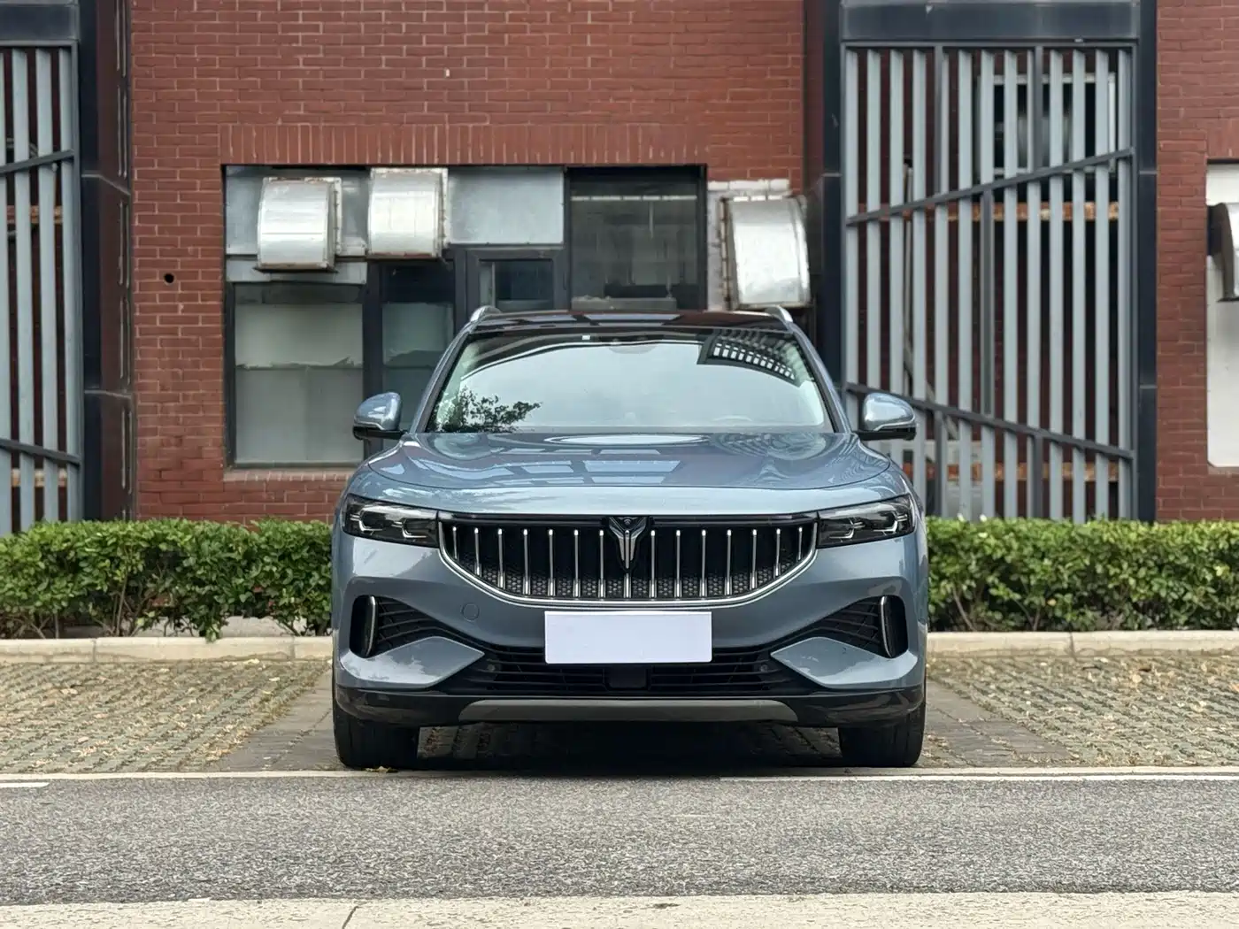 Voyah Free 2022 2021 AWD Standard Pure Electric Exclusive Luxury Package