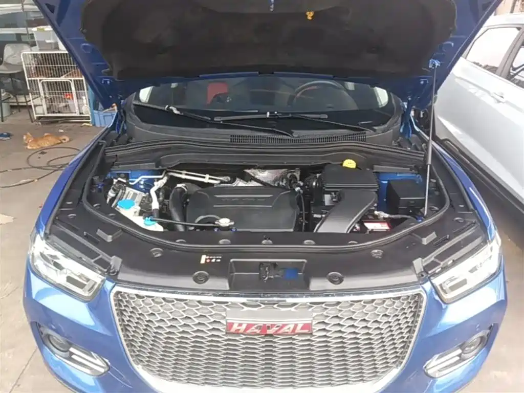 Haval H2s 2018 Red Label 1.5T DCT Luxury Model фото 20