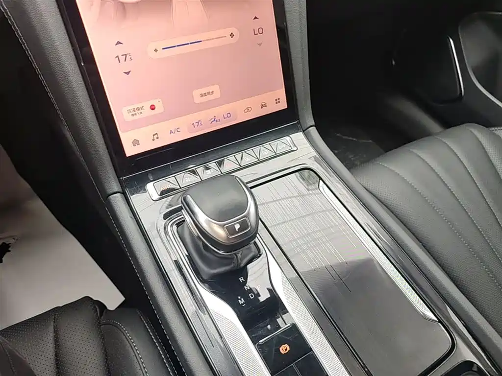 Hongqi H5 2024 1.5T DCT Smart Connect Flag Rhythm Edition фото 14