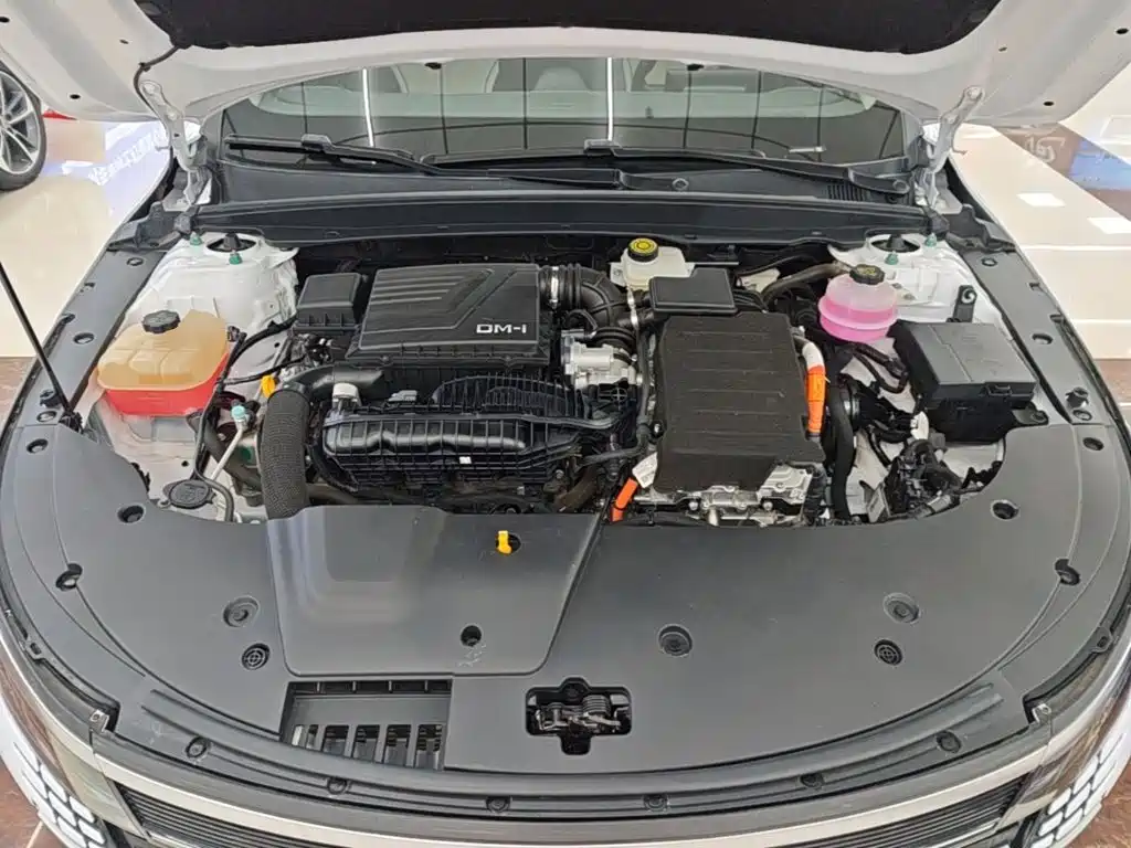 BYD Destroyer 05 2025 2024 Glory Edition DM-i 55KM Luxury