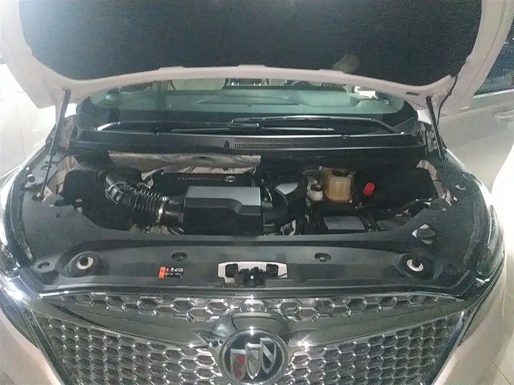 Buick GL8 2021 ES Landlord 653T Comfort фото 19