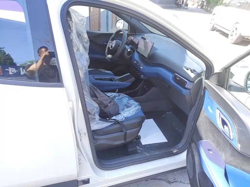 BYD Seagull 2025 Smart Drive Edition 305km Vitality Version фото 25