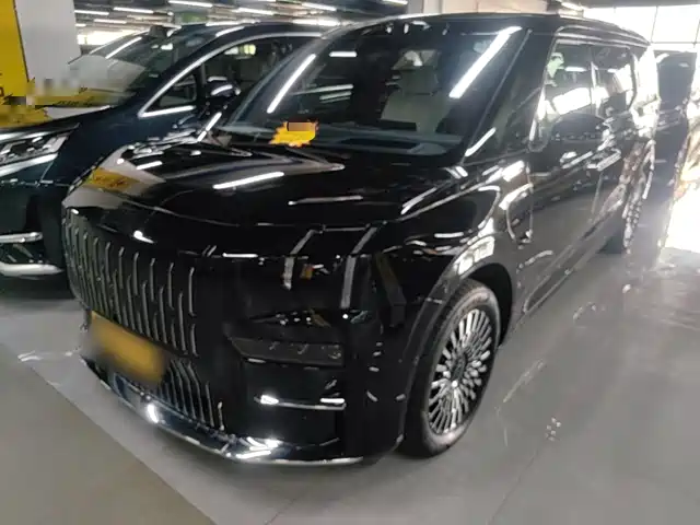 ZEEKR 009 2025