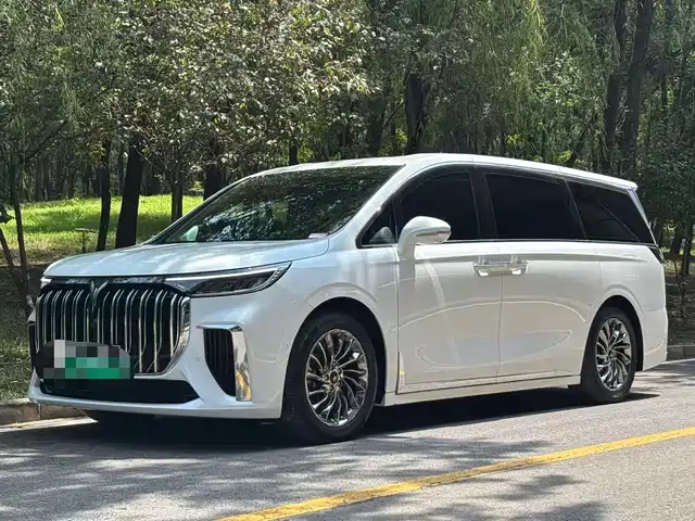  Voyah Auto Voyah Dreamer 2022 Low-carbon Dream+Smart Package