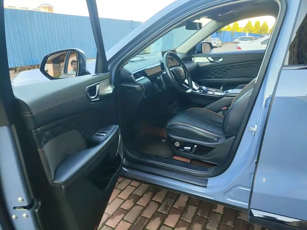 WEY Latte DHT-PHEV 2023 2022 1.5T 2WD Extra Large Cup