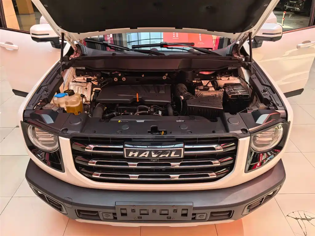Haval Big Dog 2021 1.5T DCT 2WD Border Collie Edition фото 23