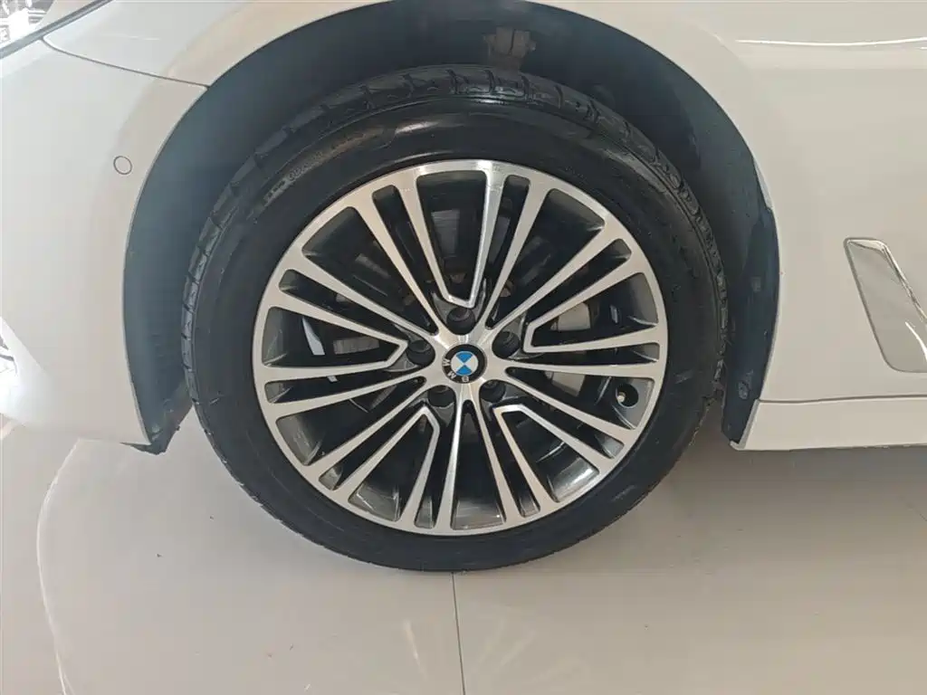 BMW 5 Series 2018 Facelift 530Li Exclusive Luxury Package фото 23