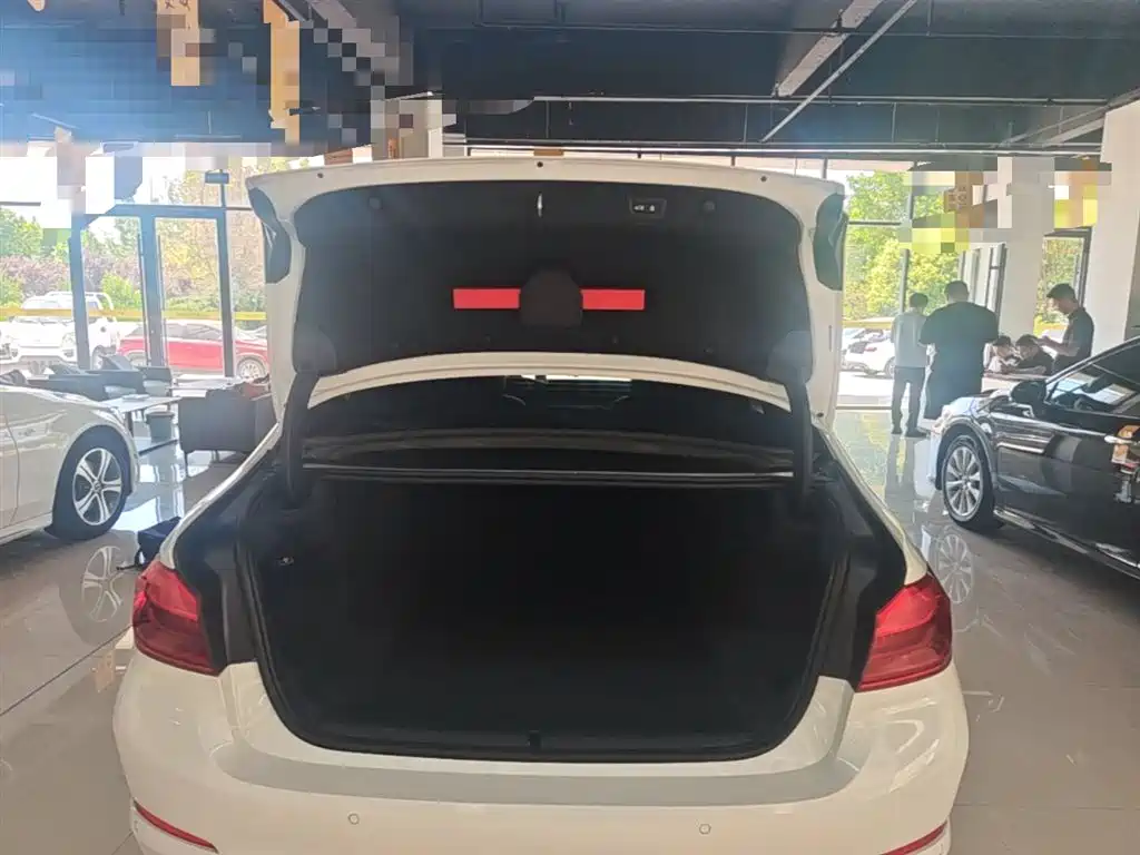 BMW 5 Series 2018 Facelift 530Li Exclusive Luxury Package фото 19