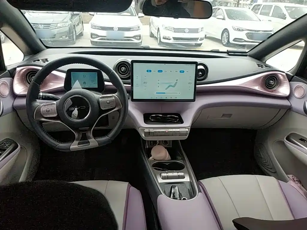 Фото 10 - BYD Dolphin