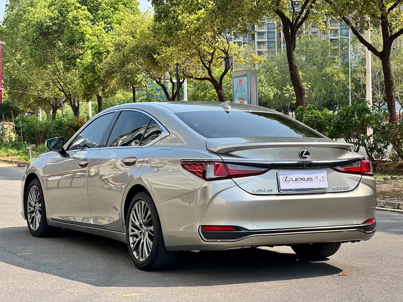 Lexus ES 2018 260 F SPORT (China V) фото 5