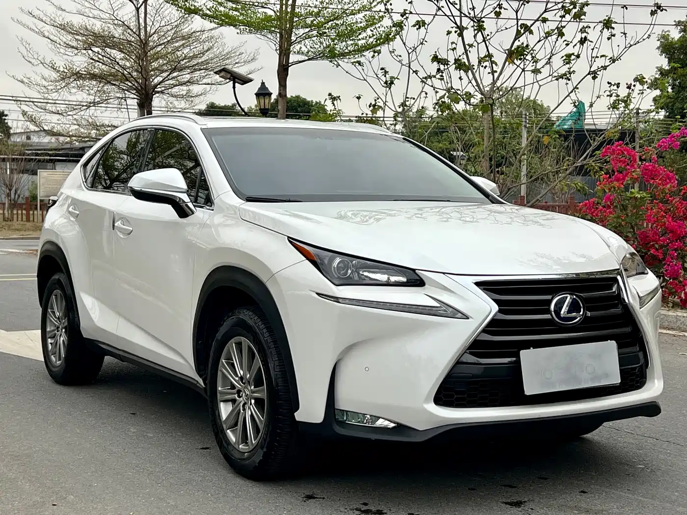Lexus NX 2015 300h FWD Luxury фото 3