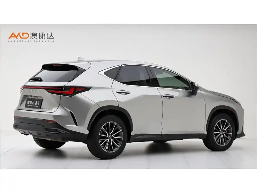 Фото 3 - Lexus NX