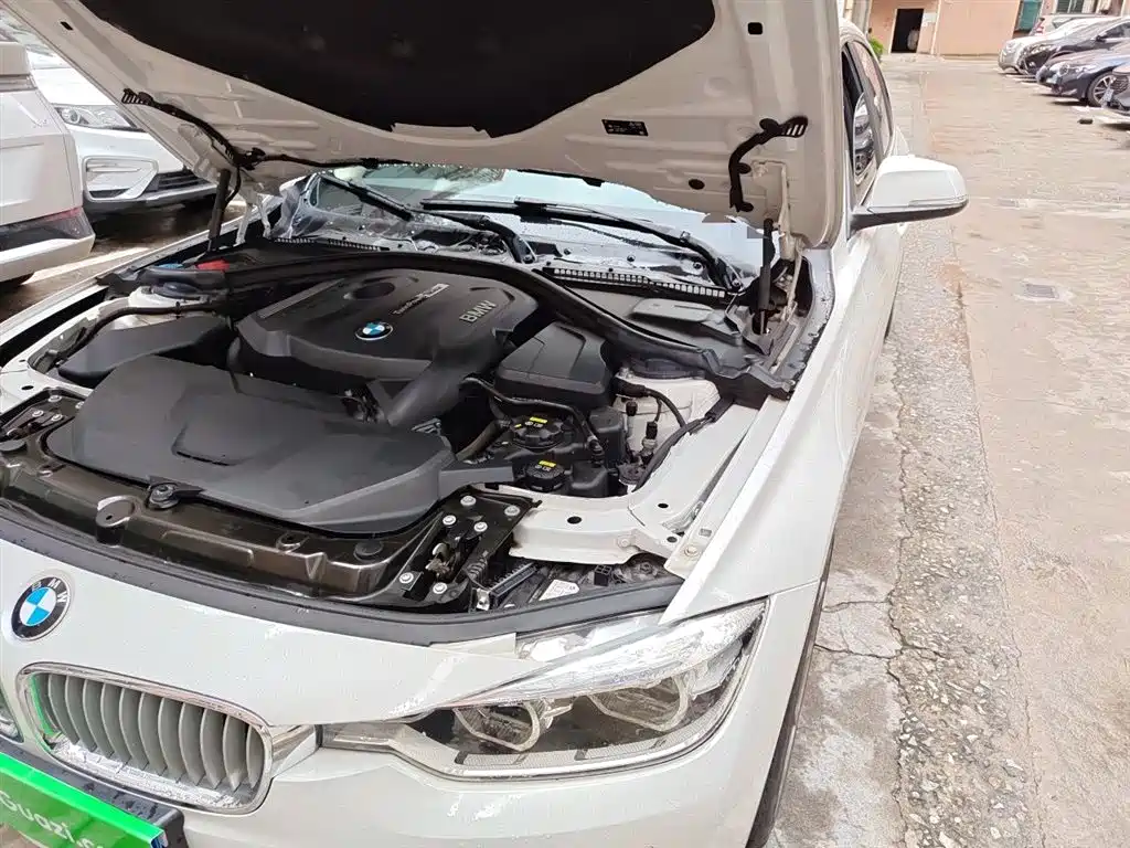 BMW 3 Series 2019 320Li Fashion Type фото 22