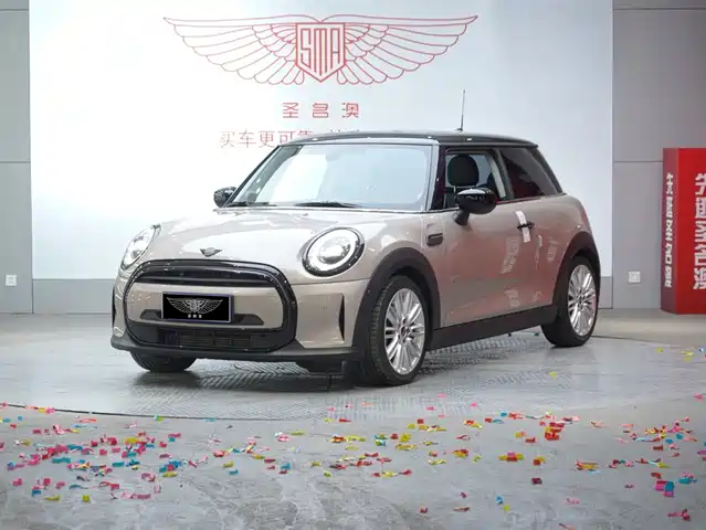 MINI 