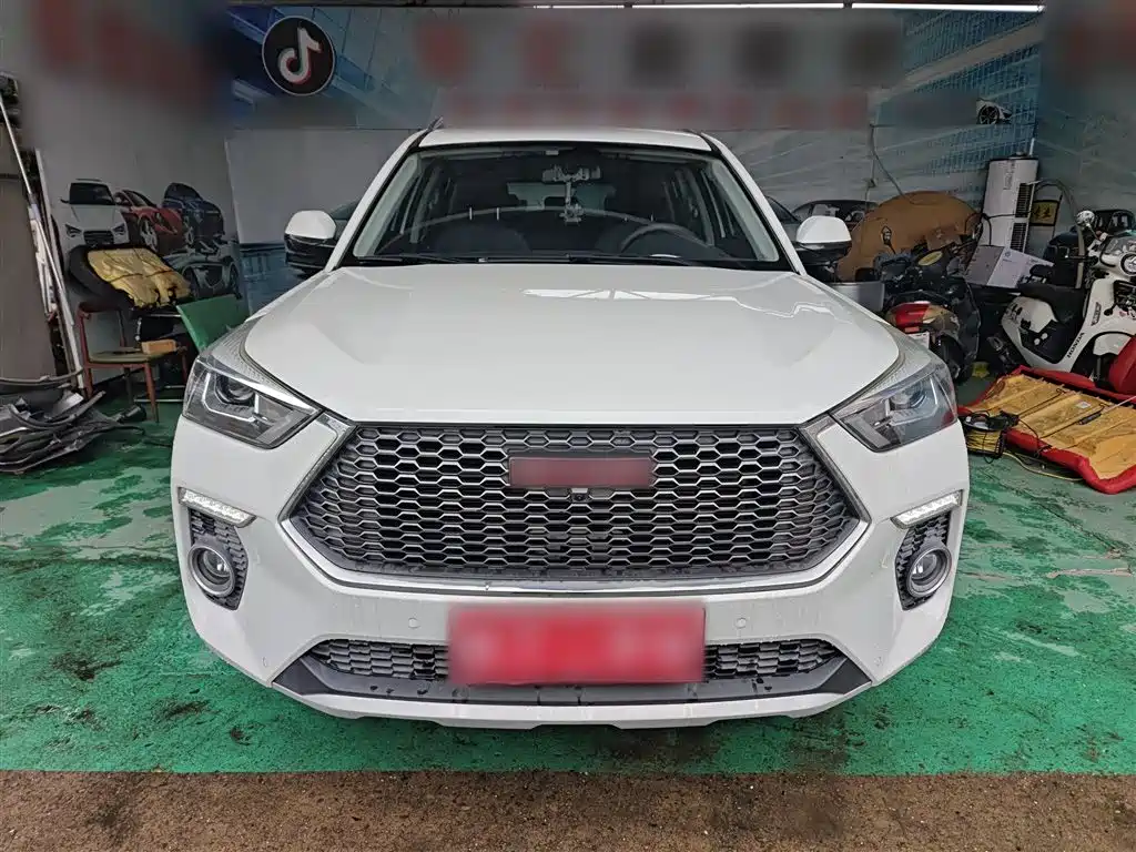 Haval H6 Coupe 2018 Red Label 1.5T Auto 2WD Ultra Luxury фото 3