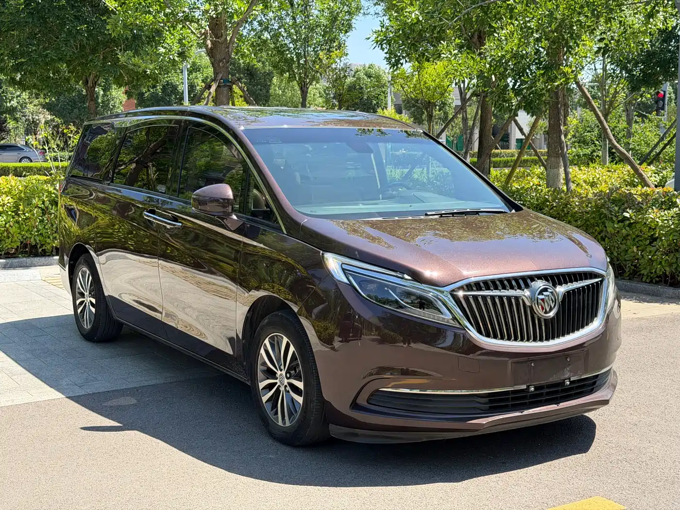 Buick GL8 2017 ES 28T Luxury China V фото 3