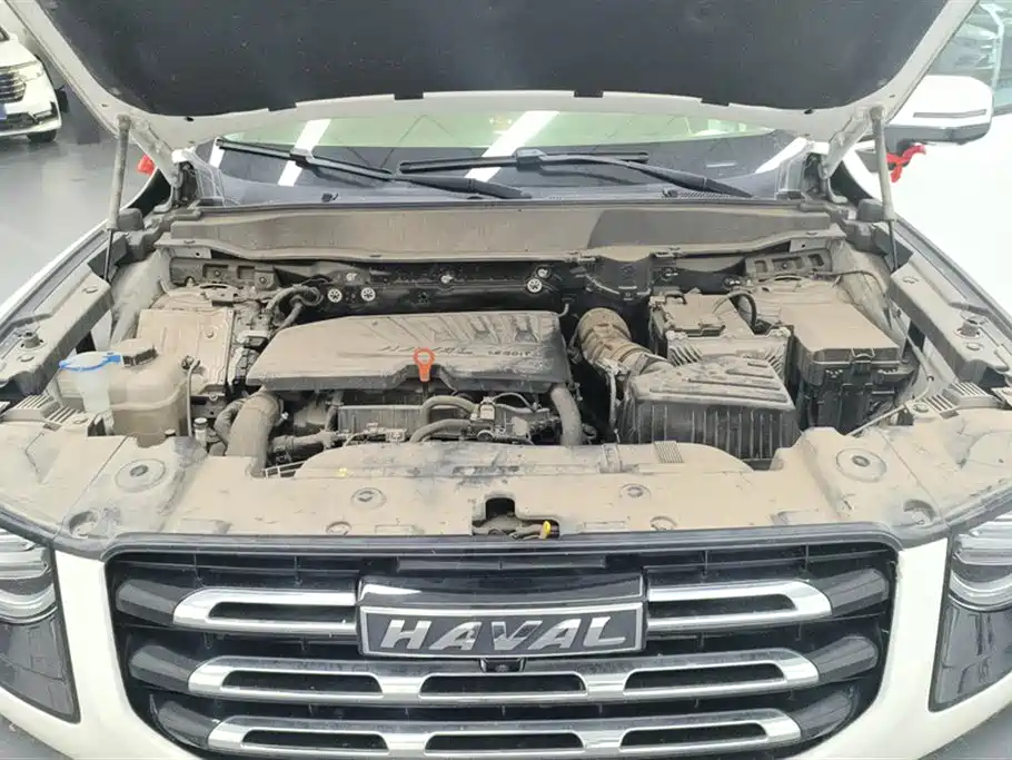 Haval Big Dog 2021 1.5T DCT 2WD Labrador Edition фото 10