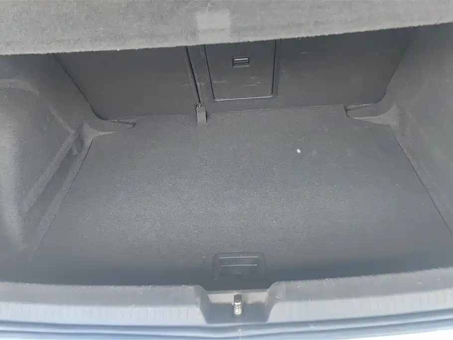 Volkswagen Golf 2021 280TSI DSG Pro фото 4