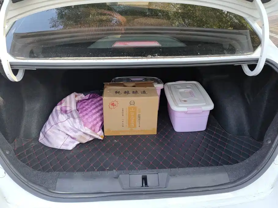 صورة 4 - Geely Emgrand
