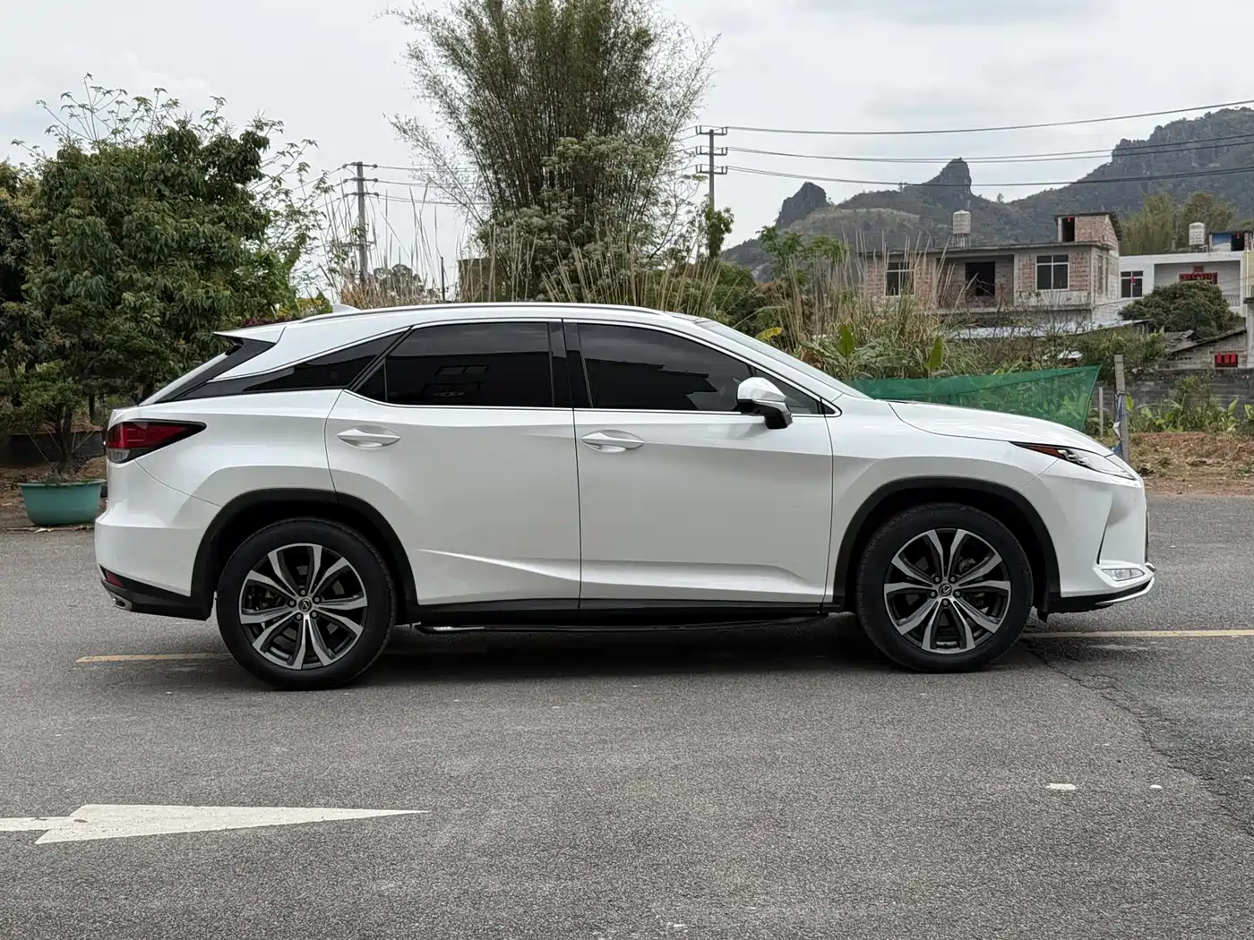 Lexus RX 2020 300 4WD Luxury Edition China VI фото 19