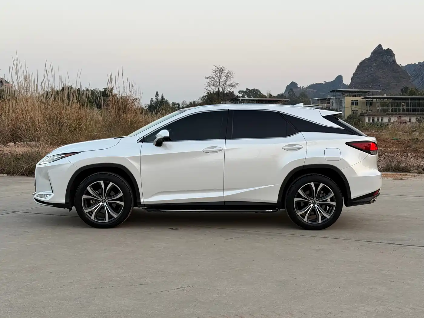 Lexus RX 2020 300 4WD Elegance Edition China VI фото 10